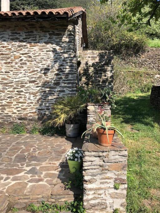 Maison Rurale Au Coeur Des Cevennes Ardechoises Dompnac Екстер'єр фото