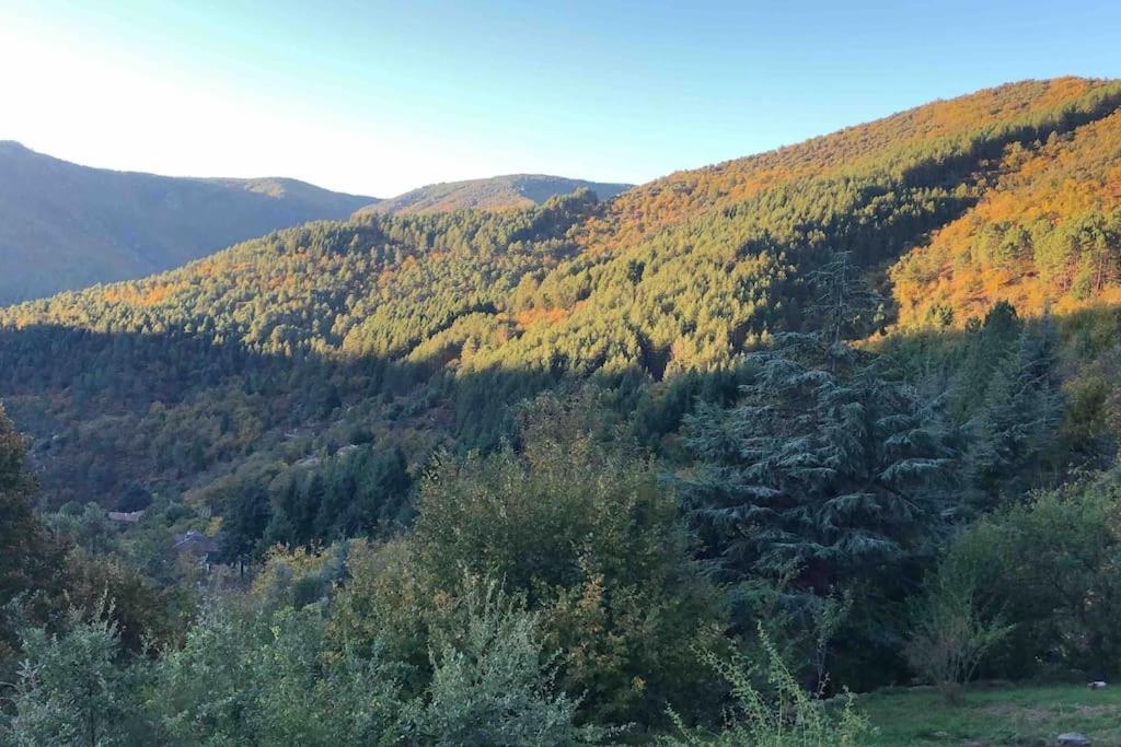 Maison Rurale Au Coeur Des Cevennes Ardechoises Dompnac Екстер'єр фото